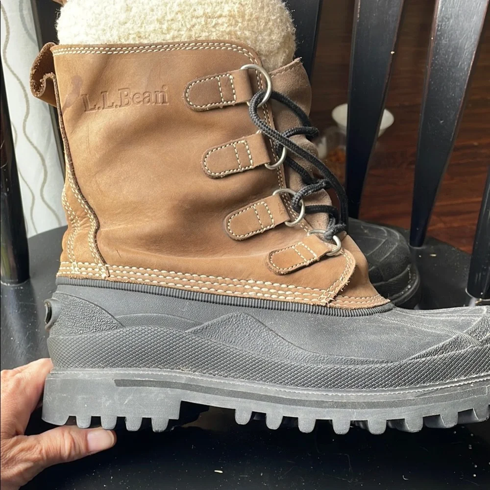 L.L. Bean bean duck